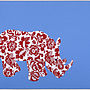 Set Of Four Animal Tablemats, thumbnail 5 of 5