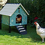 Small Dorking Chicken Coop, thumbnail 2 of 8