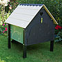 Small Dorking Chicken Coop, thumbnail 4 of 8