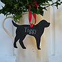 Engraved Personalised Pet Decorations, thumbnail 1 of 10