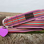 Scrufts Mivvi Striped Dog Collar And Lead, thumbnail 1 of 1