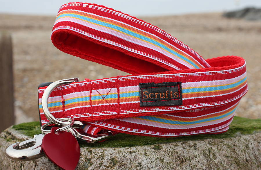 Scrufts Raspberry Ripple Striped Dog Collar And Lead