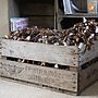 Vintage Wooden Fruit Crates, thumbnail 4 of 4