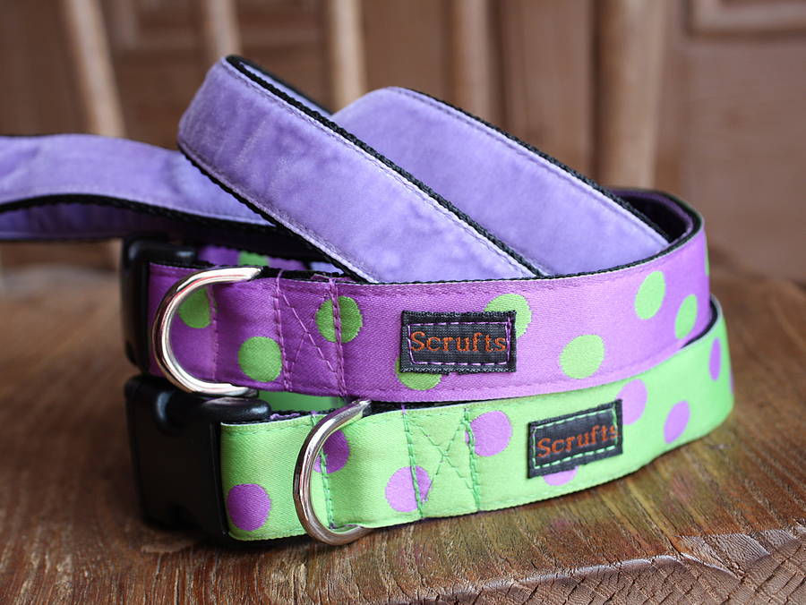 designer dog collars and leads