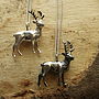 Sterling Silver Stag Pendant, thumbnail 2 of 4