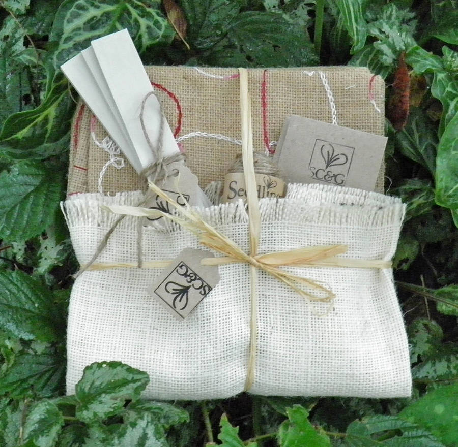 Jute Pot Gift Pack By Seedlings Cards & Gifts