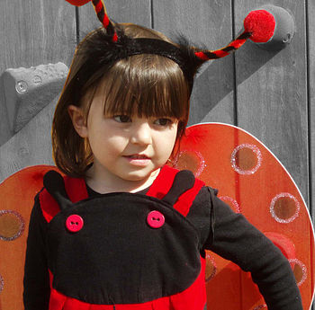 Ladybird Pinnie Dress, 2 of 5