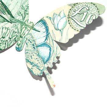 'A Little Flutter' Money Butterfly Card, 4 of 5