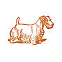Sealyham Terrier Letterpress Card, thumbnail 3 of 3