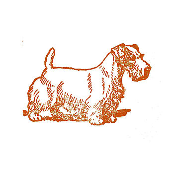 Sealyham Terrier Letterpress Card, 3 of 3