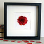 Personalised Red Red Rose Artwork, thumbnail 5 of 12