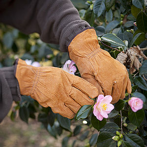 funny gardening gloves