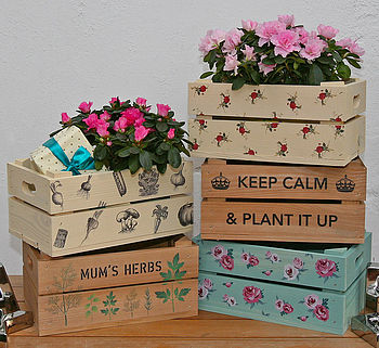 Vintage Rose Gift Crate, 3 of 6
