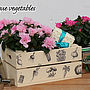Vintage Style Vegetables Gift Crate, thumbnail 1 of 6