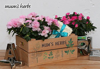 Mum's Herbs Gift Crate, 4 of 6
