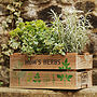 Mum's Herbs Gift Crate, thumbnail 5 of 6