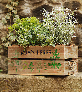 Mum's Herbs Gift Crate, 5 of 6