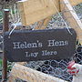 Personalised Slate Chicken Shed Sign, thumbnail 1 of 8