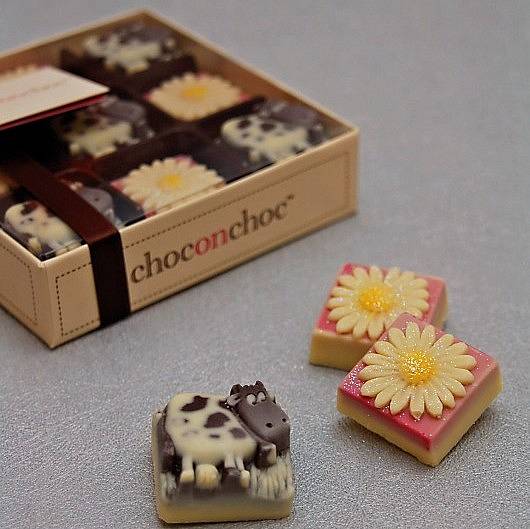 cows and daisies chocolates by choc on choc