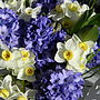 Scented Spring Bucket Fresh Flowers, thumbnail 2 of 3