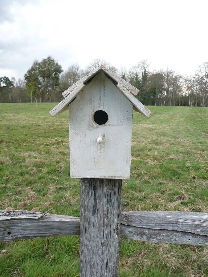 wooden bird box by cooper rowe vintage living