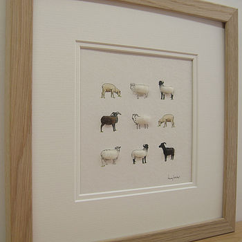 Rare Breed Sheep Hand Finished Art Print, 3 of 5