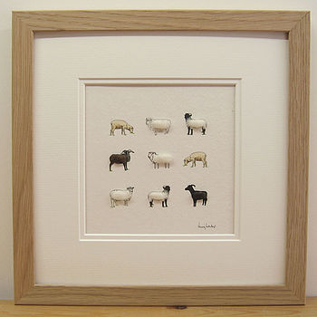 Rare Breed Sheep Hand Finished Art Print, 2 of 5