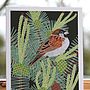 'Garden Bird' Greeting Cards, thumbnail 8 of 12