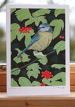 'Garden Bird' Greeting Cards, 10 of 12