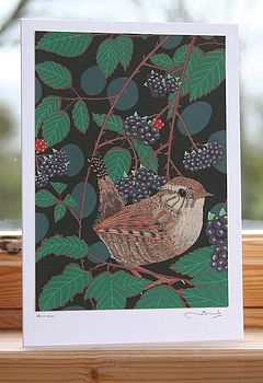 'Garden Bird' Greeting Cards, 11 of 12