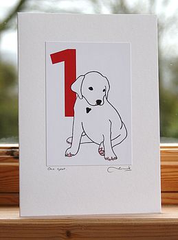 'A Dalmatian Spot for every year' Age Cards, 2 of 12