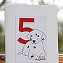 'A Dalmatian Spot for every year' Age Cards, thumbnail 6 of 12
