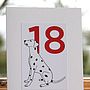 'A Dalmatian Spot for every year' Age Cards, thumbnail 12 of 12