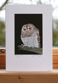 Owl Cards, 2 of 6