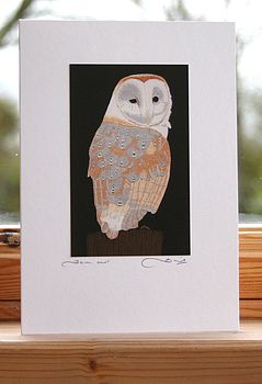 Owl Cards, 6 of 6