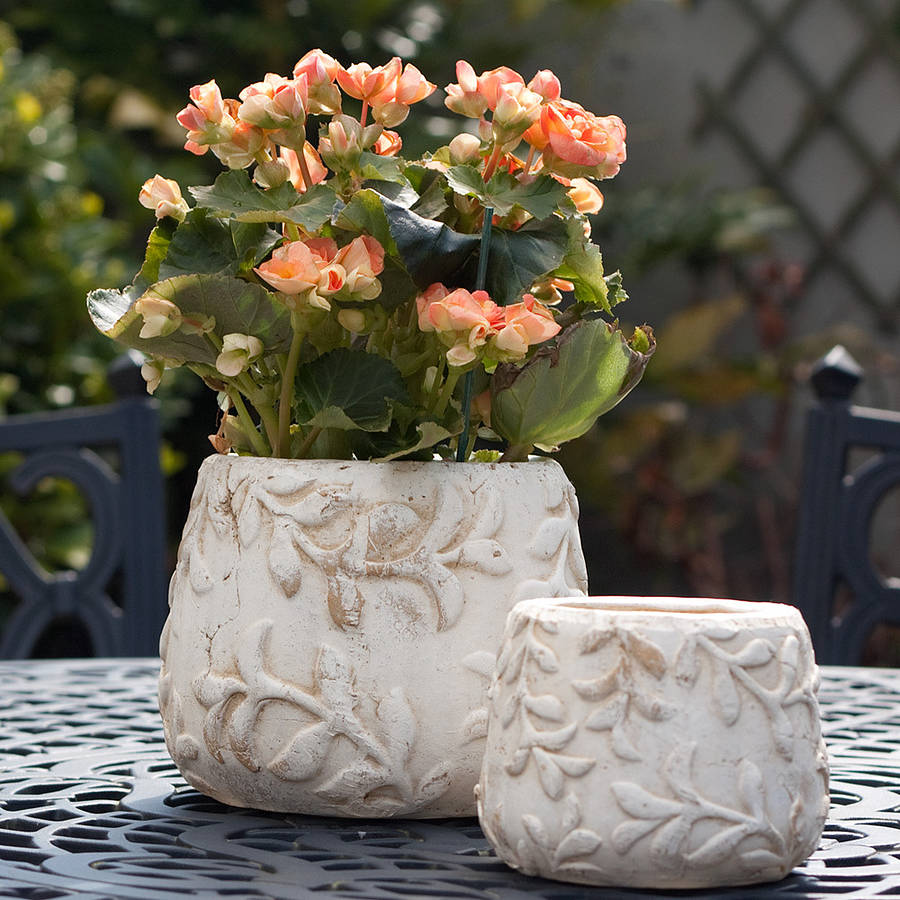Pair Of Rustic Flower Pots By Jodie Byrne ...