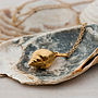 Gold Mousehole Shell Necklace, thumbnail 1 of 3