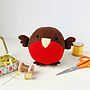 Sew Your Own Robin Beginners Craft Kit, thumbnail 9 of 9