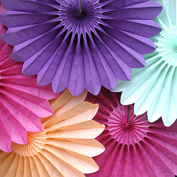 Deluxe Tissue Paper Fan Party Decoration, 2 of 10