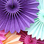 Deluxe Tissue Paper Fan Party Decoration, thumbnail 9 of 10