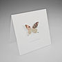 'A Little Flutter' Money Butterfly Card, thumbnail 5 of 5