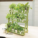 Three Tier Herb And Plant Theatre With Zinc Pot Set By Plant Theatre ...