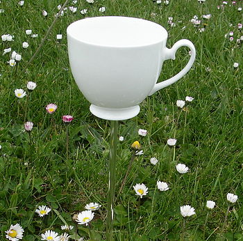 Teacup Bird Drinker Or Feeder, 8 of 10