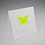 Magnetic Butterfly Gift Card, thumbnail 3 of 6
