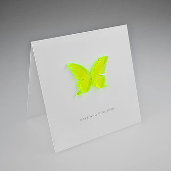 Magnetic Butterfly Gift Card, 3 of 6
