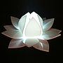 Lotus Flower Colour Changing LED Battery Operated Light, thumbnail 3 of 8
