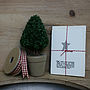 Pack Of Six Assorted Christmas Cards, thumbnail 7 of 10
