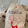 Embroidered Deer Christmas Sack Extra Large, thumbnail 2 of 6