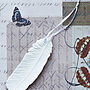 Set Of Five Porcelain Feather Decorations, thumbnail 2 of 7