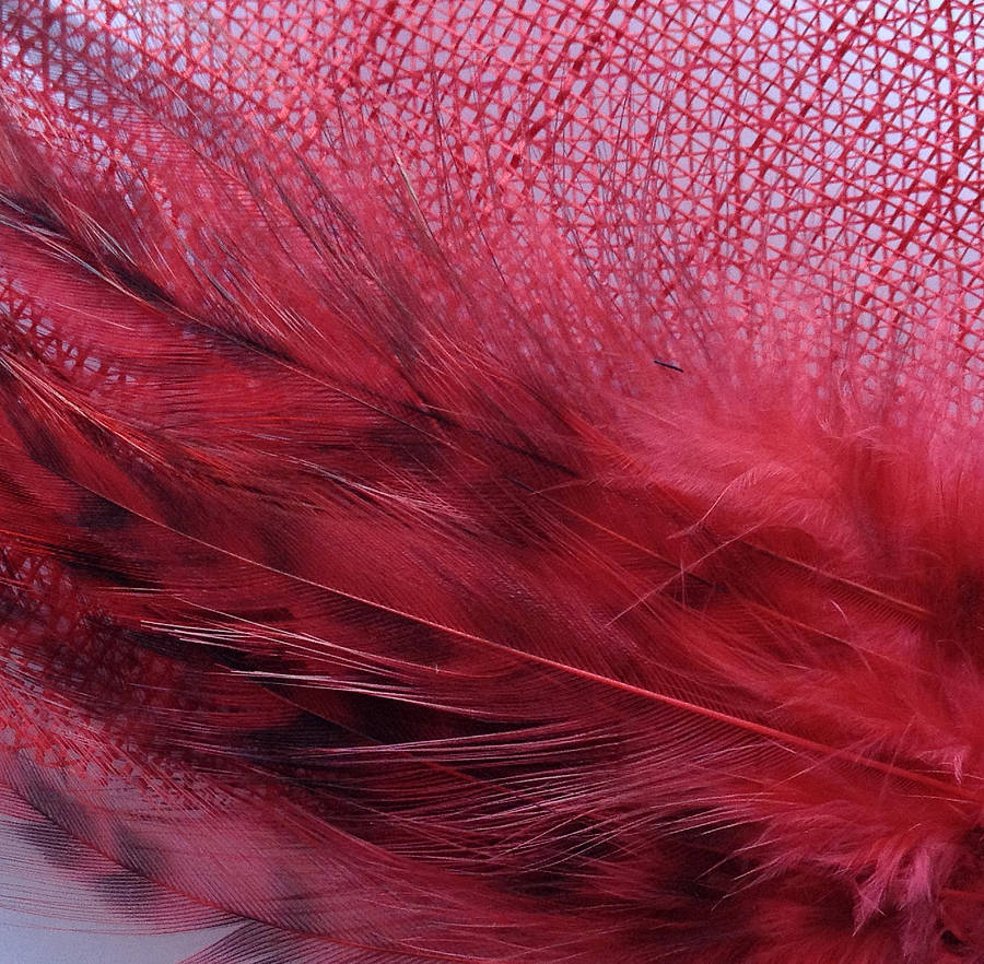 Feather Fascinator By Glam Hatters | notonthehighstreet.com
